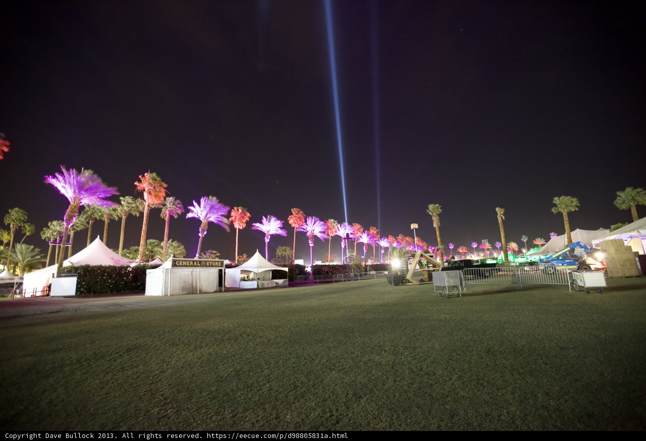 Palm Trees Lit Up at Coachella