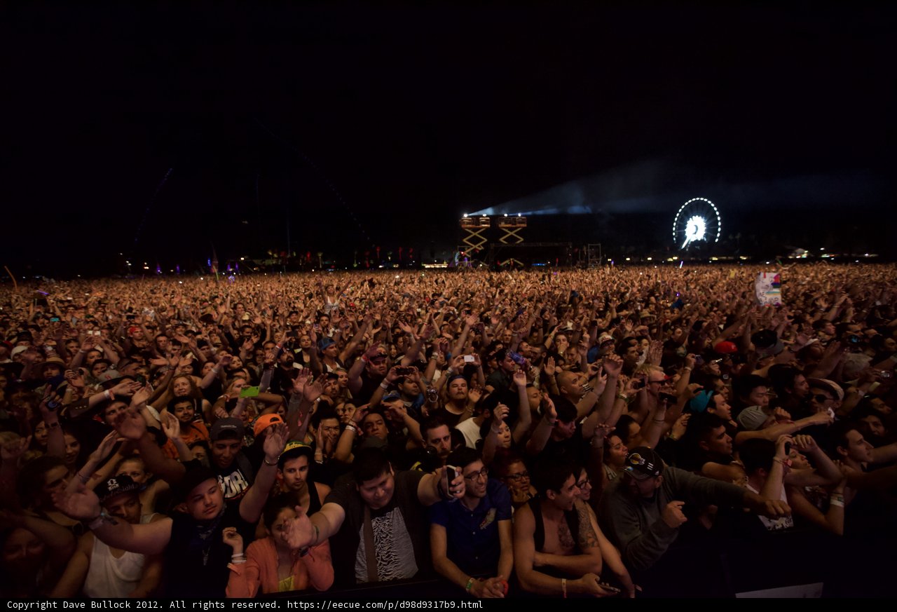 Euphoric Crowd at Coachella 2012