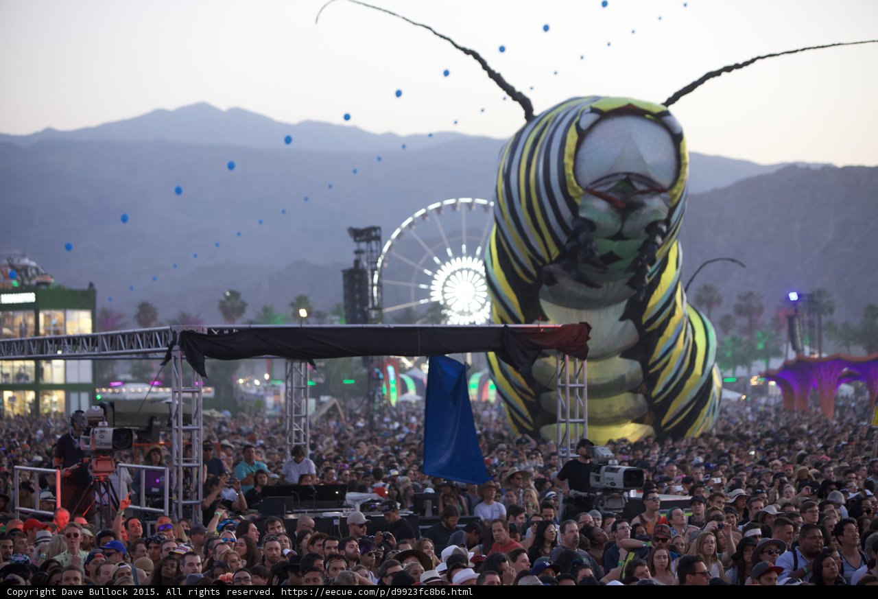 Festival Insect Adventure