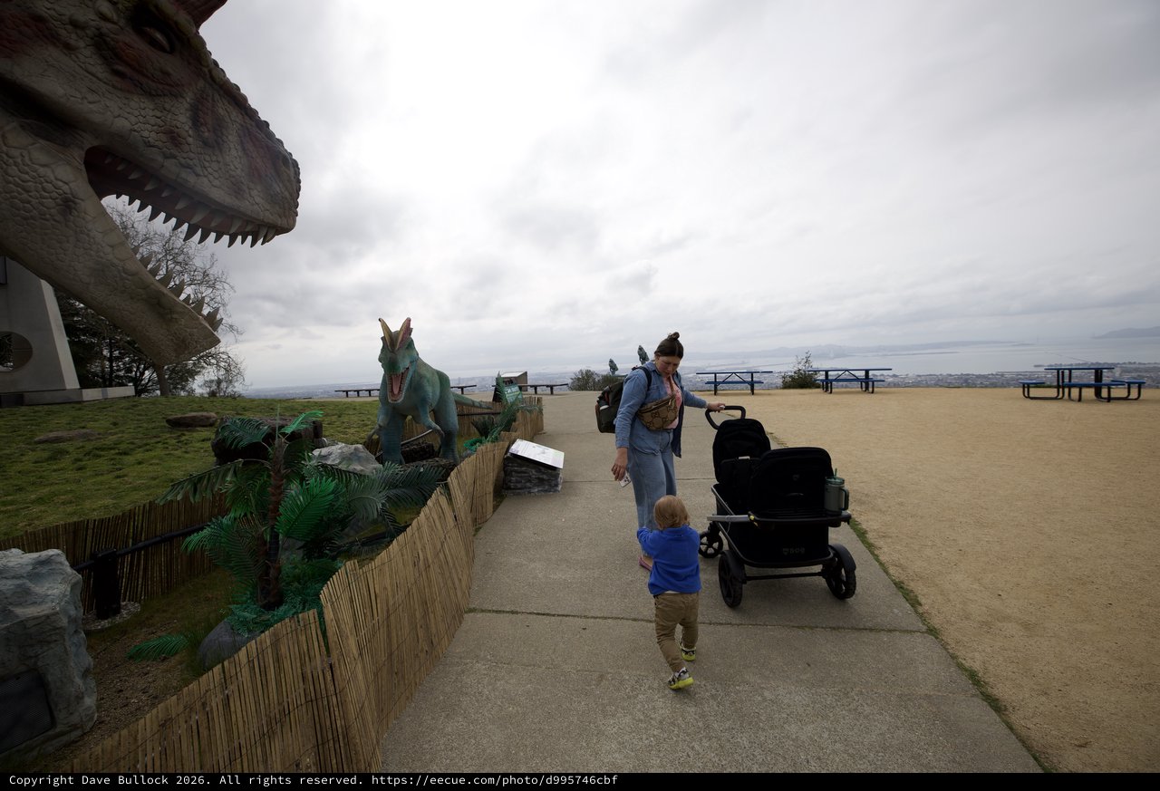 Child Encounters Dinosaur Exhibits at Hilltop Park
