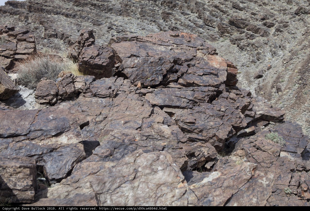 Majestic Slate Rock with Wild Plants