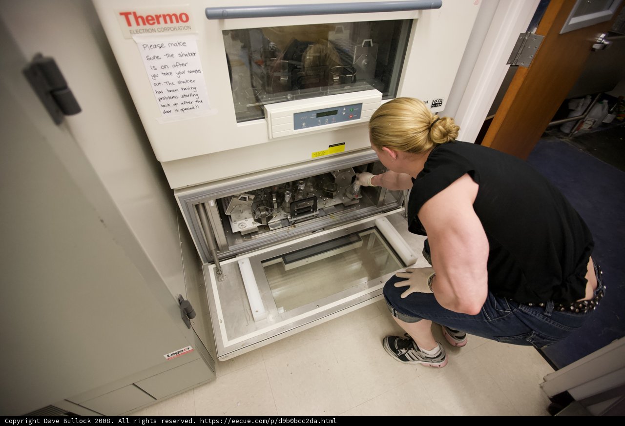 Woman inspecting a baking machine