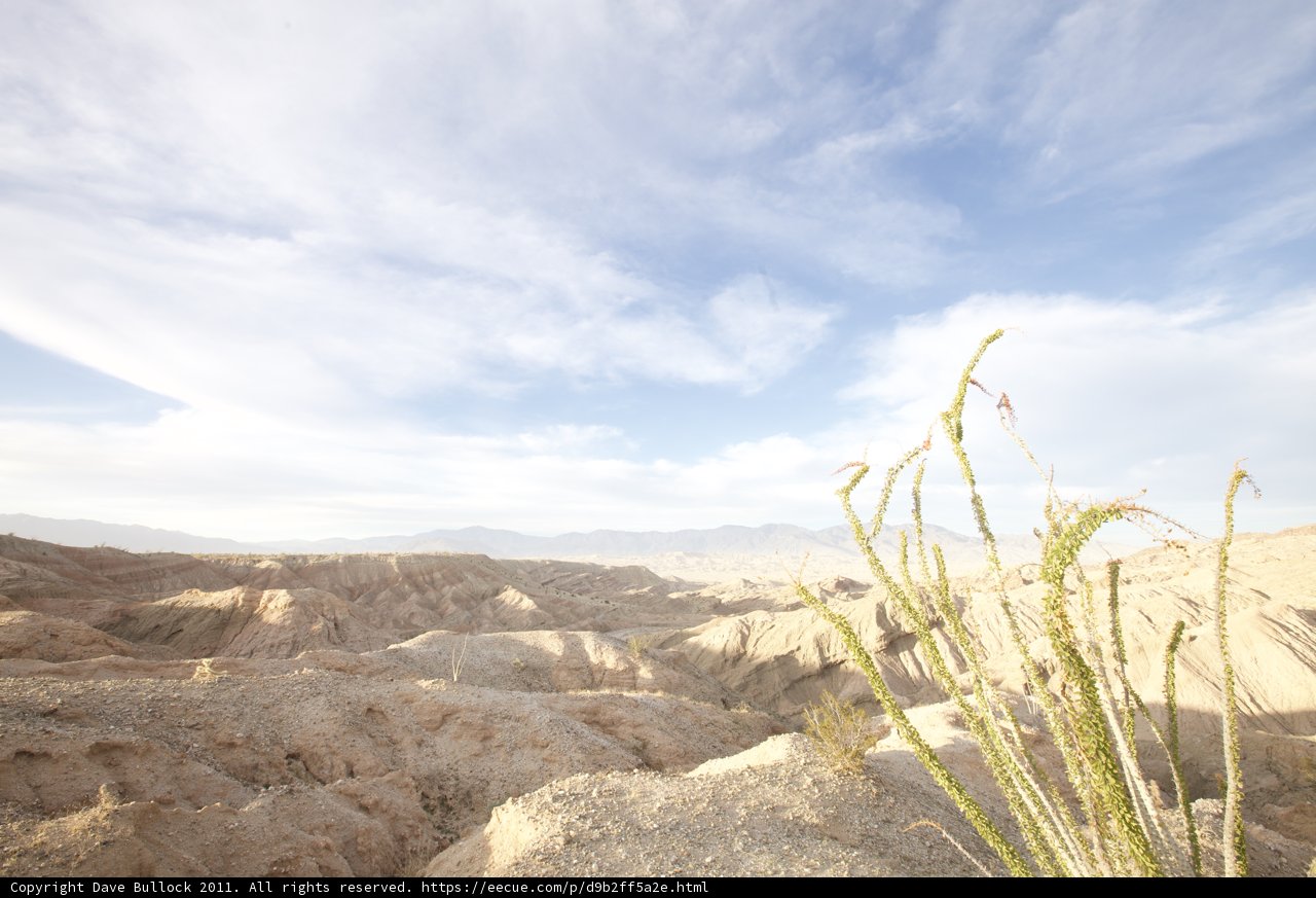 Desert Plant Against Mountainous Landscape