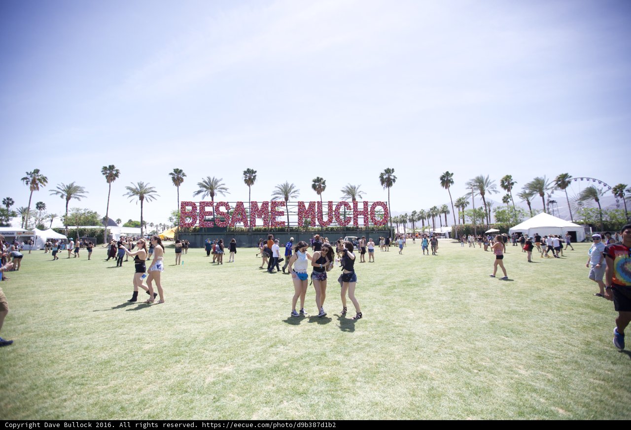 Coachella Crowd in the Sunshine