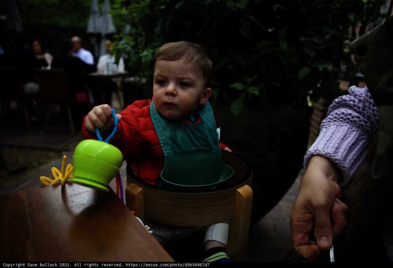 Baby's Delightful Dining Adventure