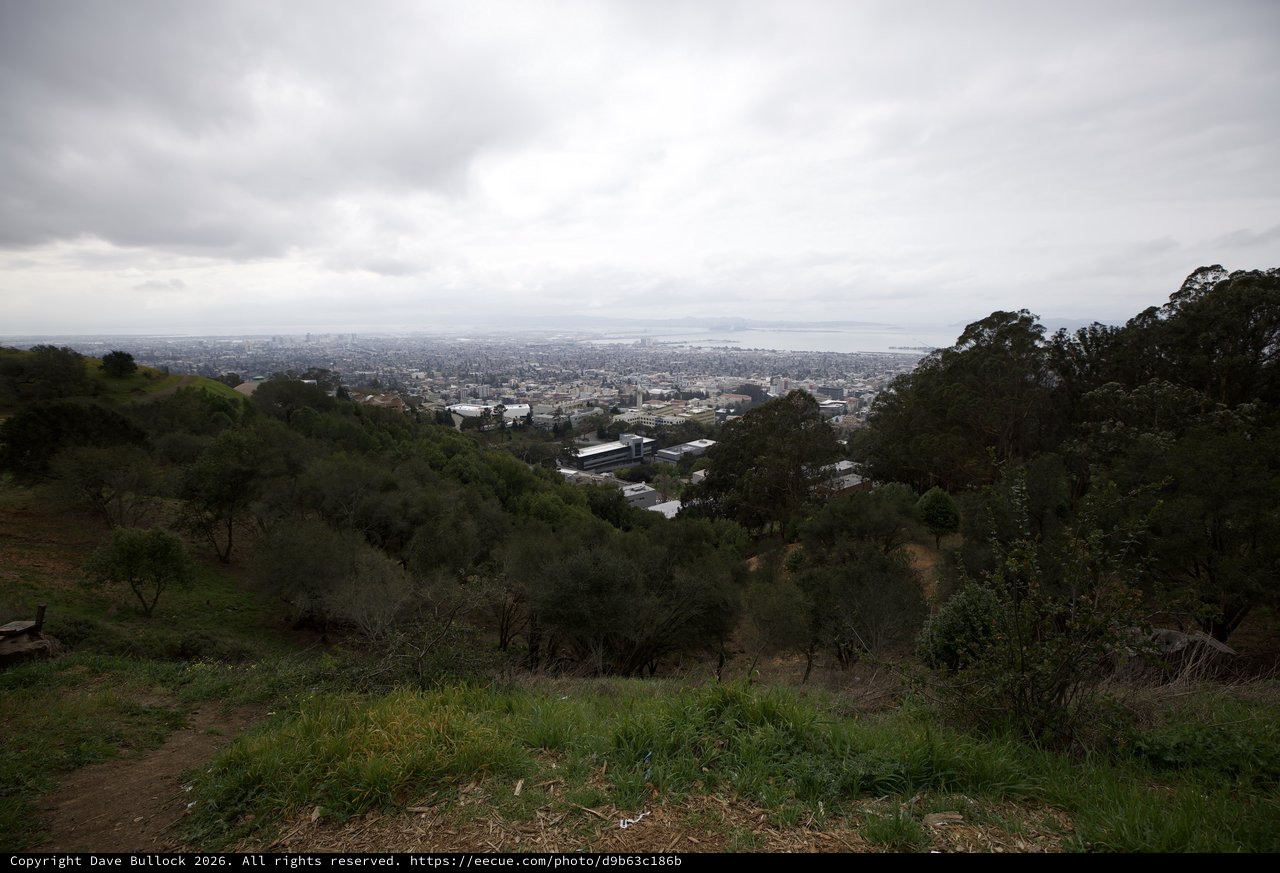 Overcast City View from Hilltop Lookout Point