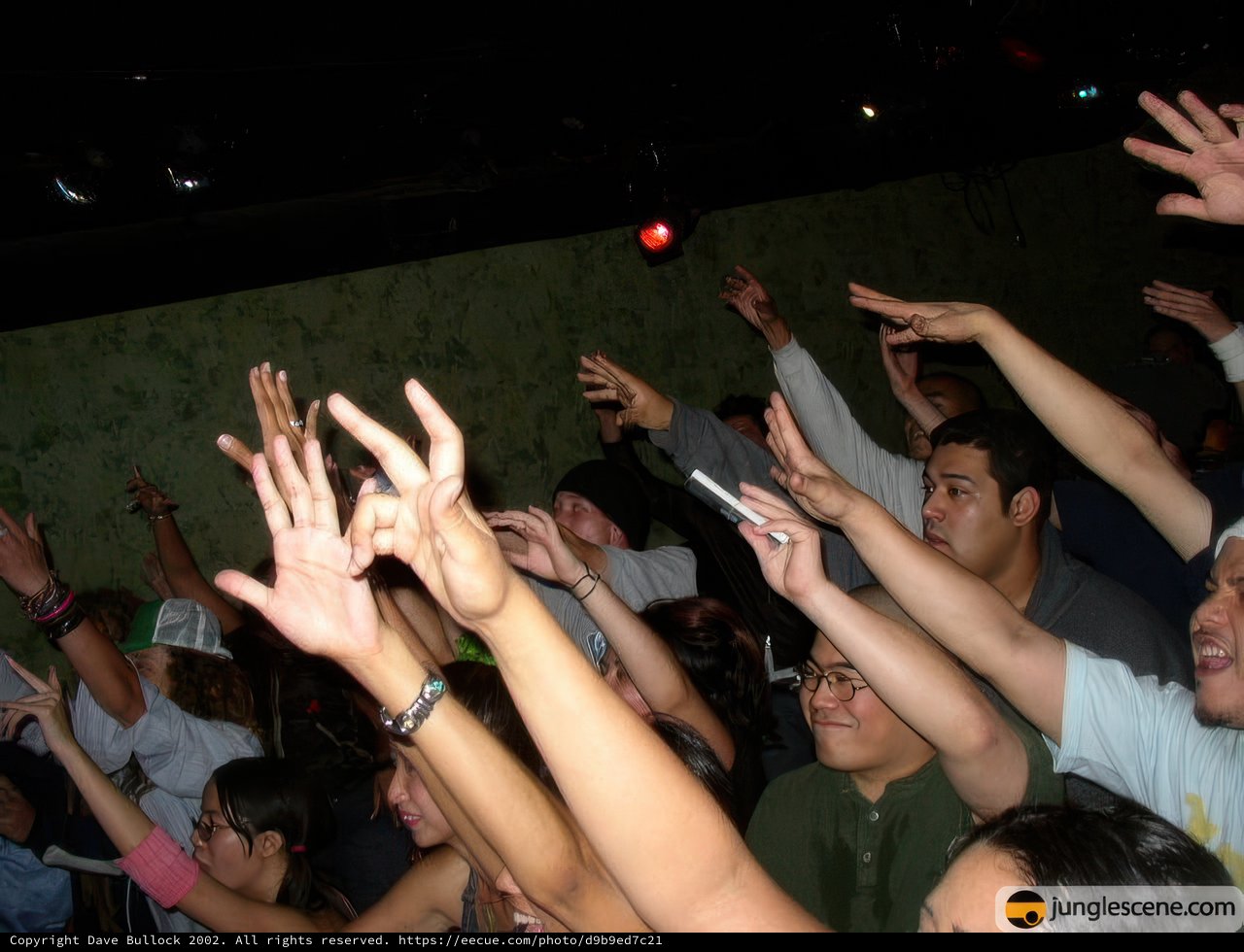 Nightclub Concert Crowd