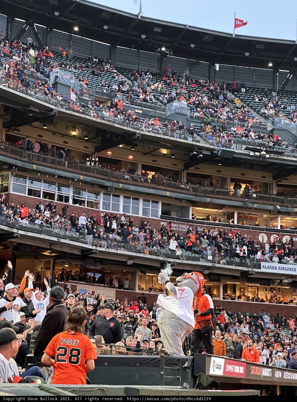Game Night Excitement at Oracle Park