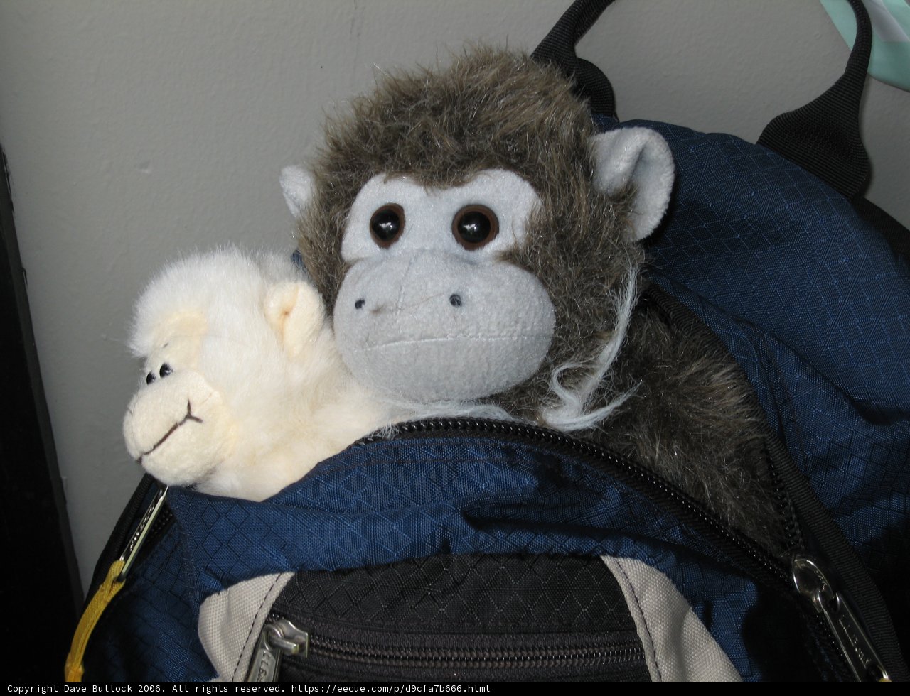Double Trouble Monkey Fun
