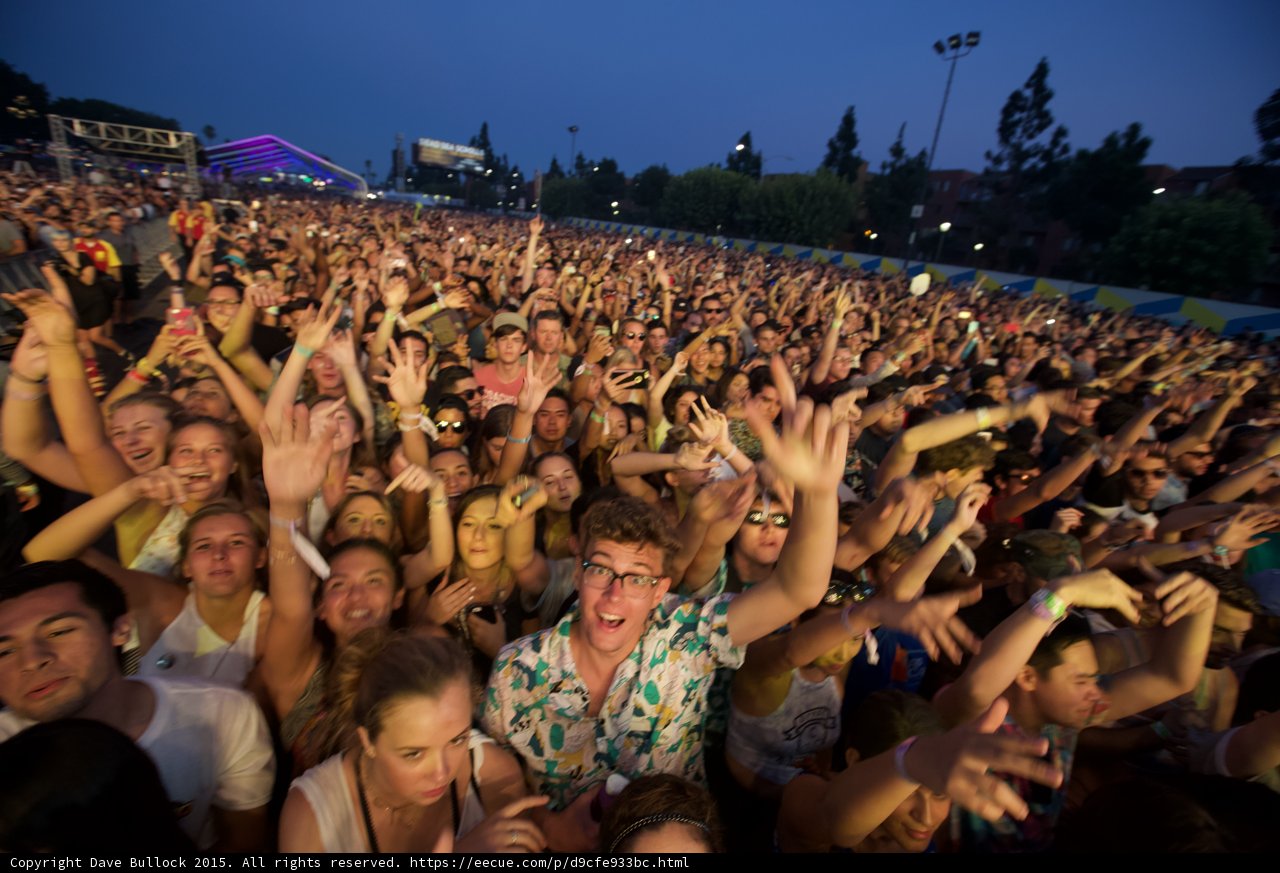 Excited Fan Floral Shirt Crowd