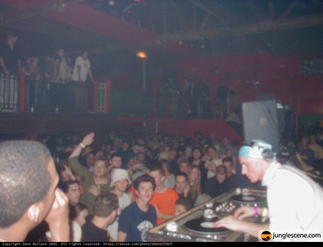 Nightclub Vibes