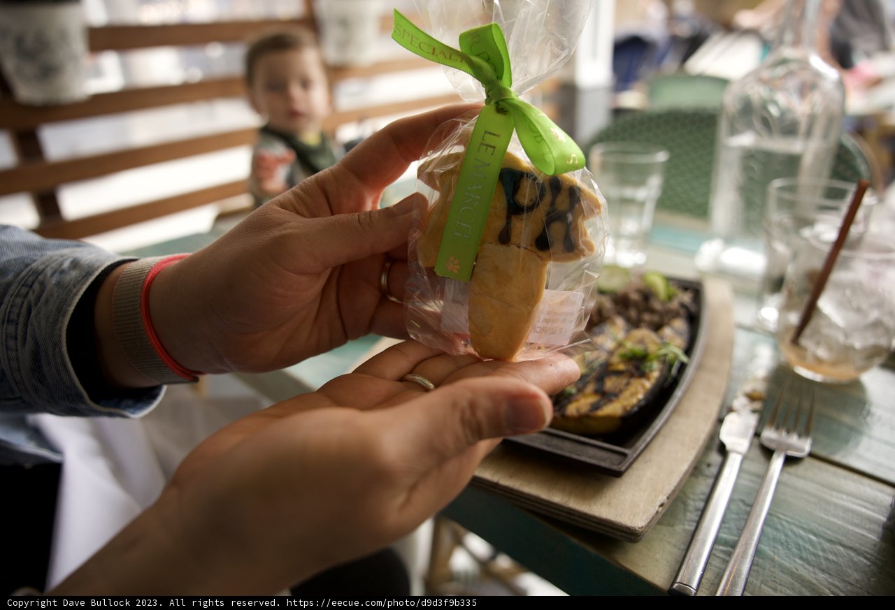 Little Surprises, Big Joys at Hi-Li's 5th Birthday