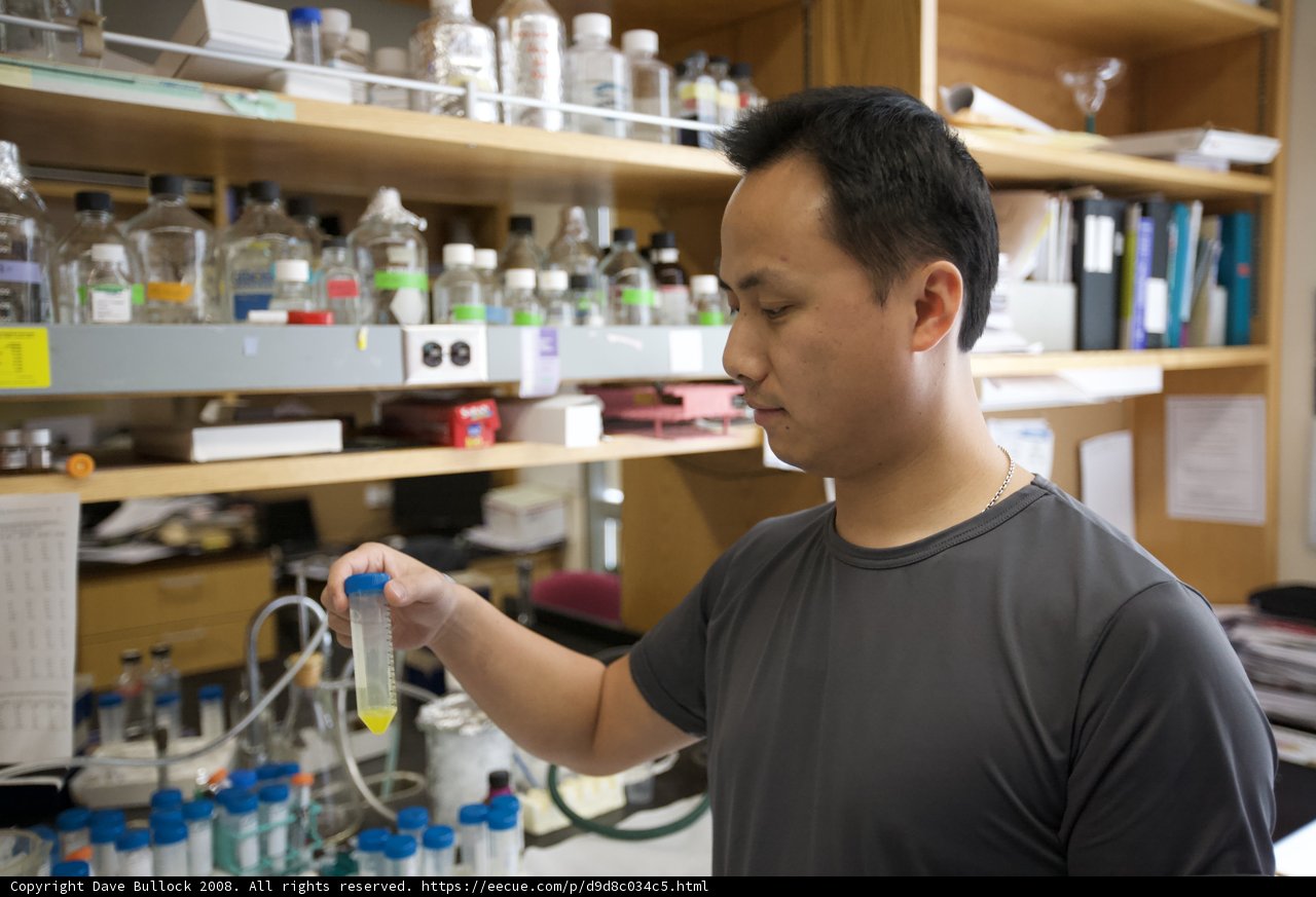 The Researcher and His Test Tube