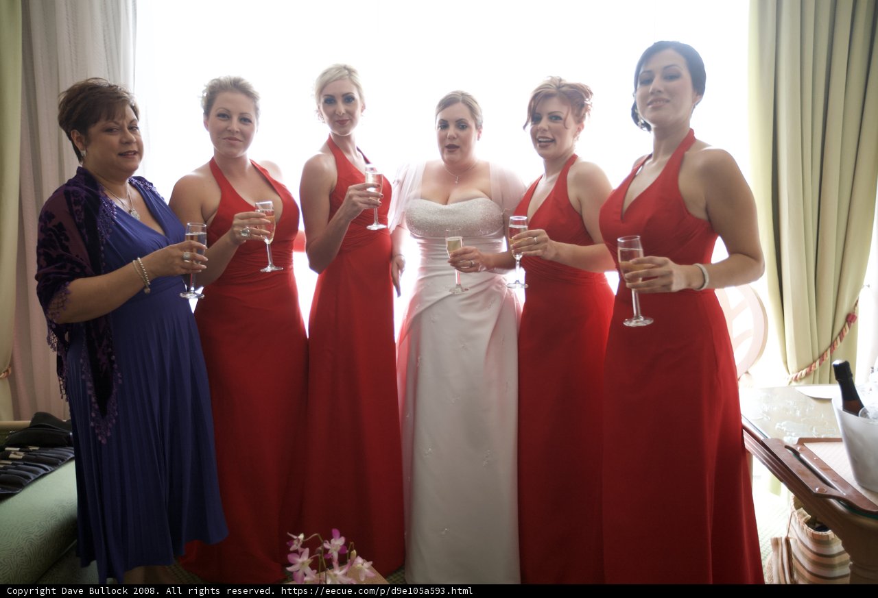 Red-Dressed Wedding Attendees Toast to The Bride