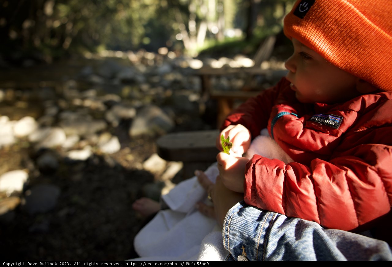 The Little Explorer