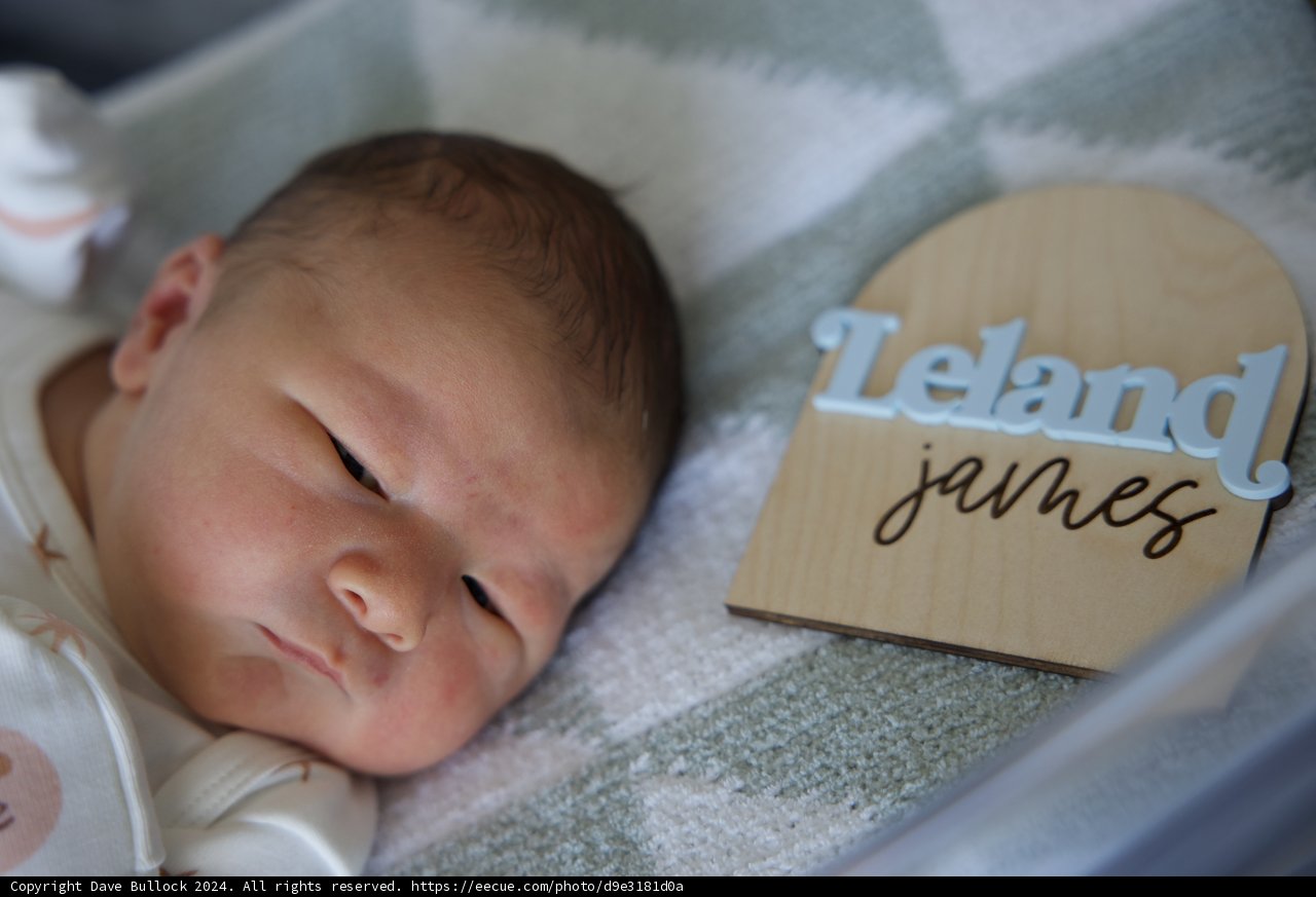 Welcome to the World, Leland