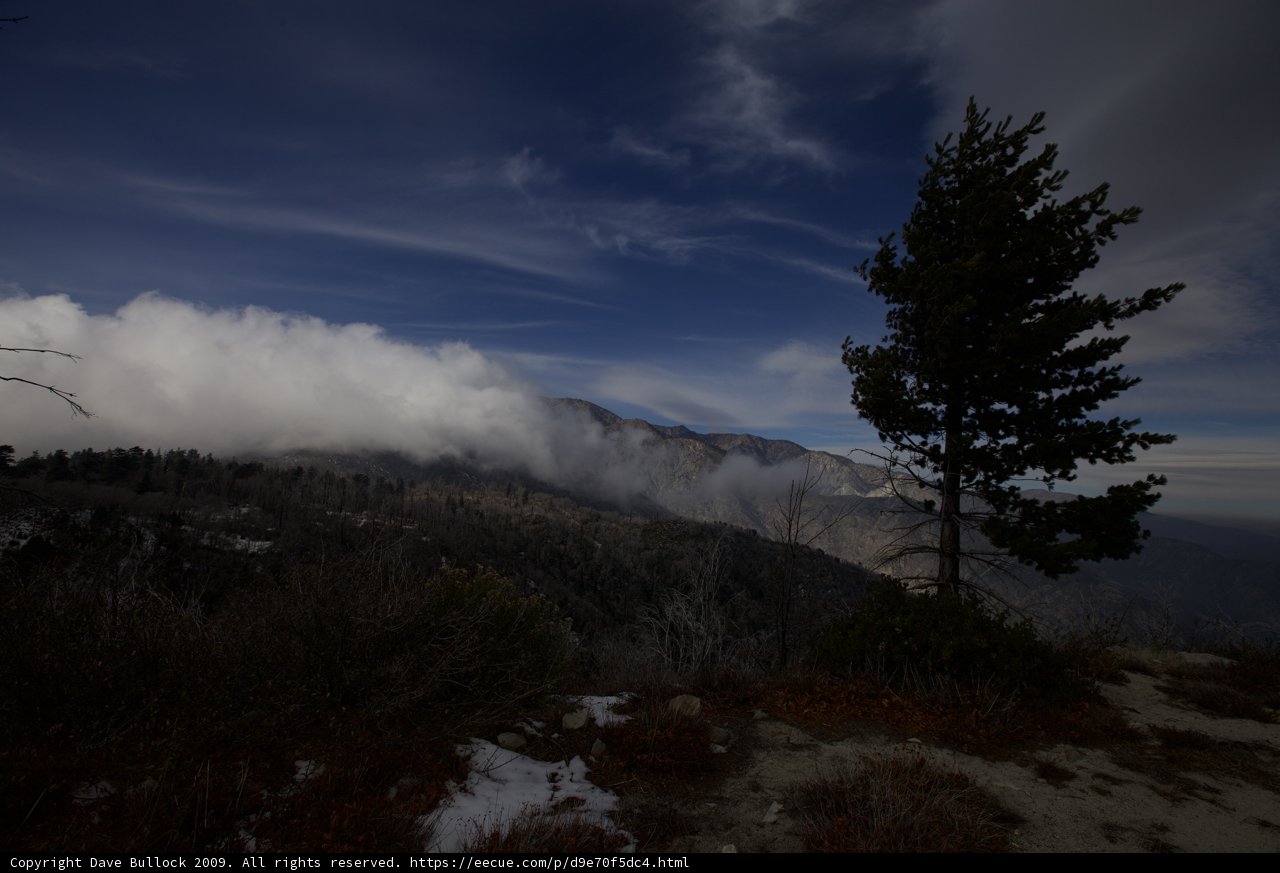 Lone Evergreen Tree in Snowy Mountain