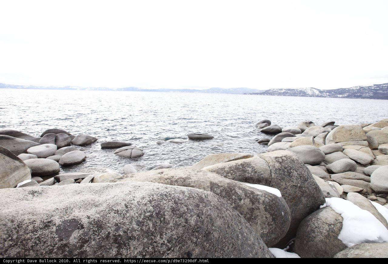 Seals on the Rocks