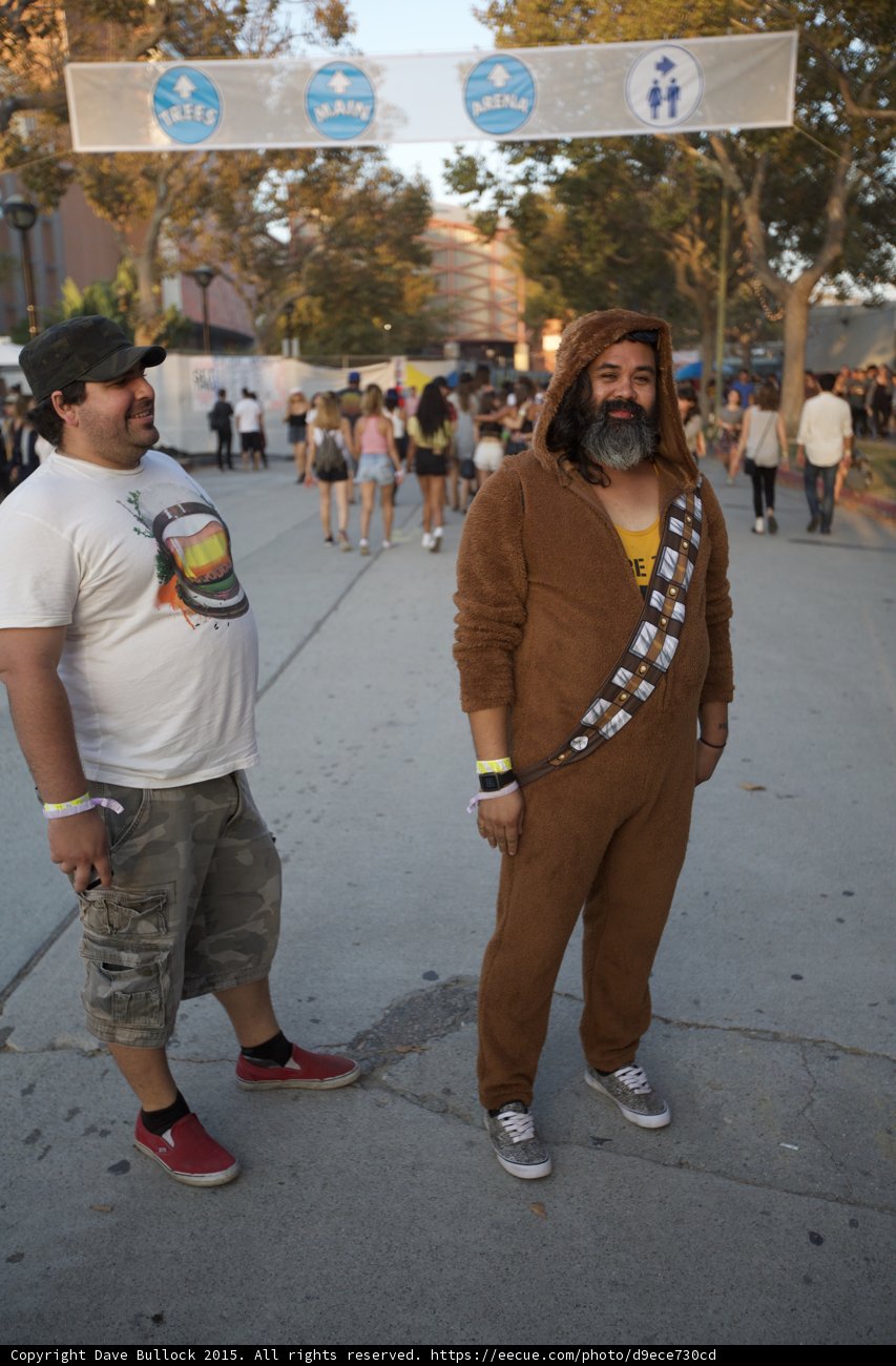 Chewbacca Under Signs
