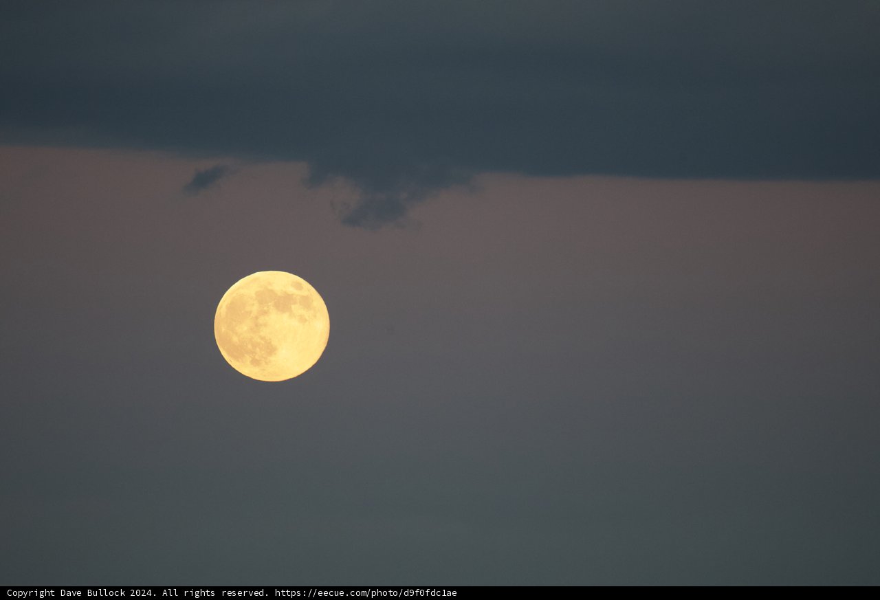 Enchanting November Moonrise