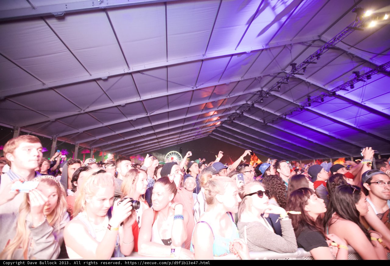 Party in the Tent