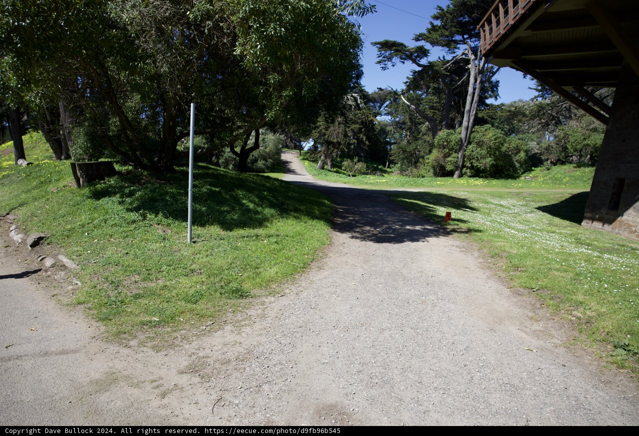 Journey Along the Serene Pathways of Golden Gate Park, 2024