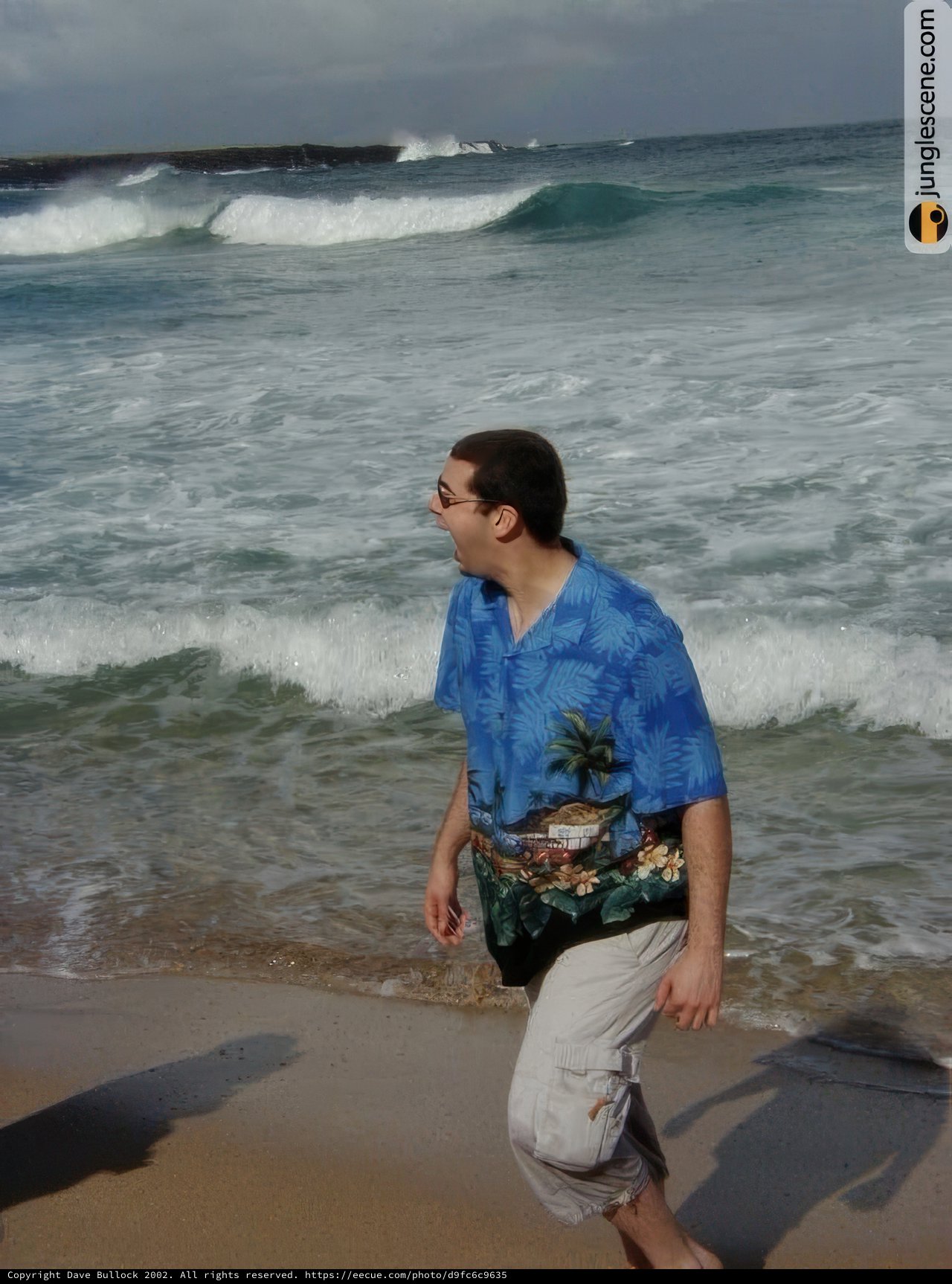 Walking on the Shoreline