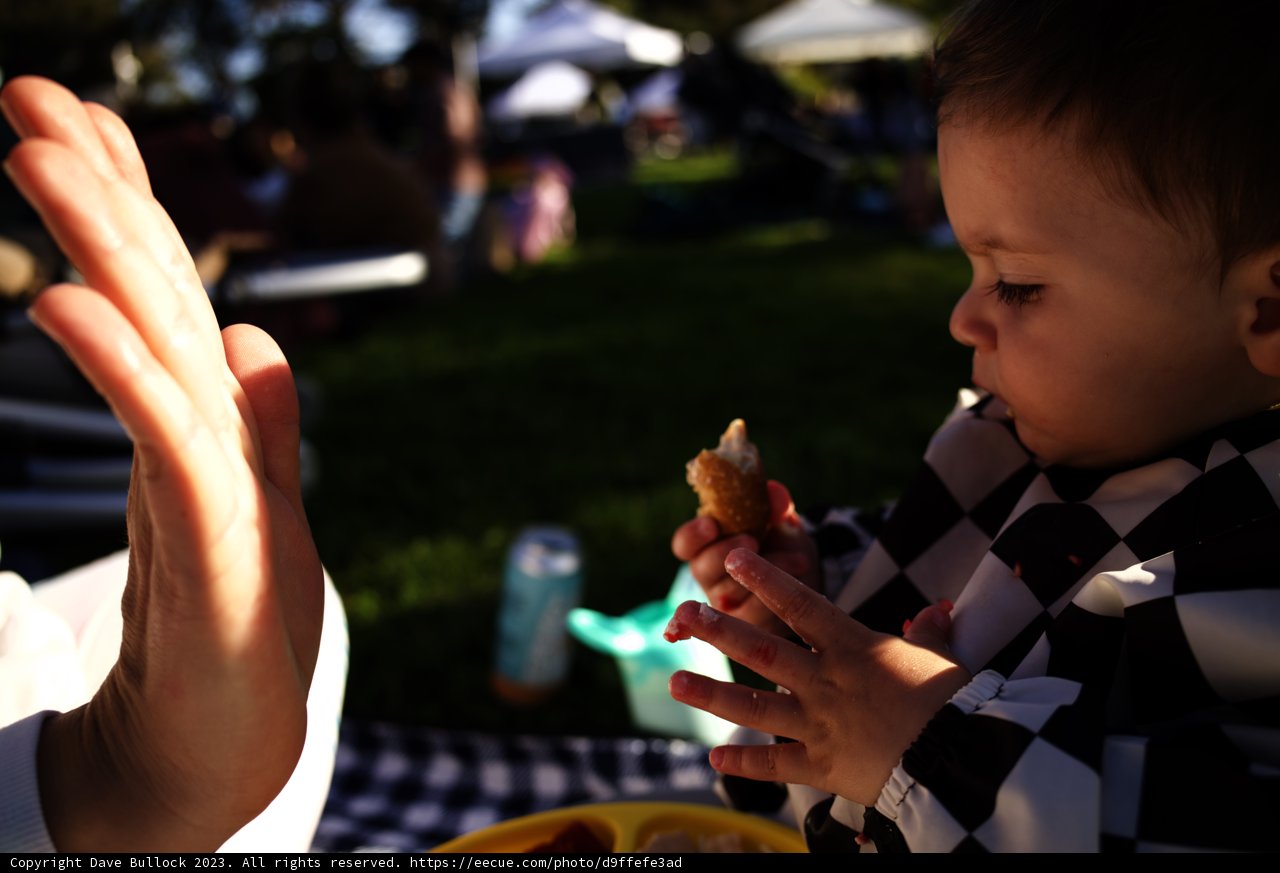 A Simple Joy: A Picnic in the Park