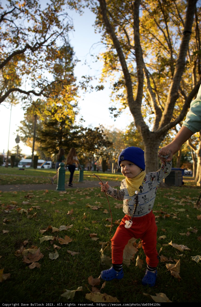 Wesley's First Frisbee Adventure in Downtown Sonoma Park