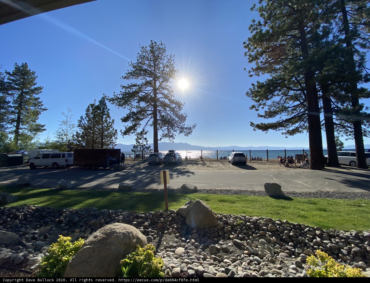 Window View of the Beach and Trees