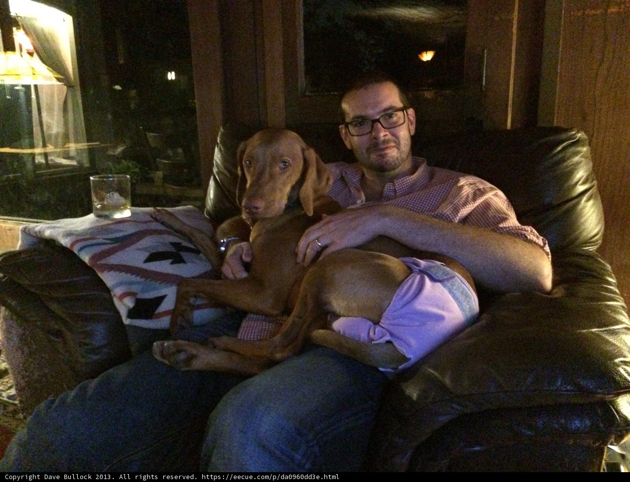 Man and Puppy Enjoying a Cozy Evening at Home