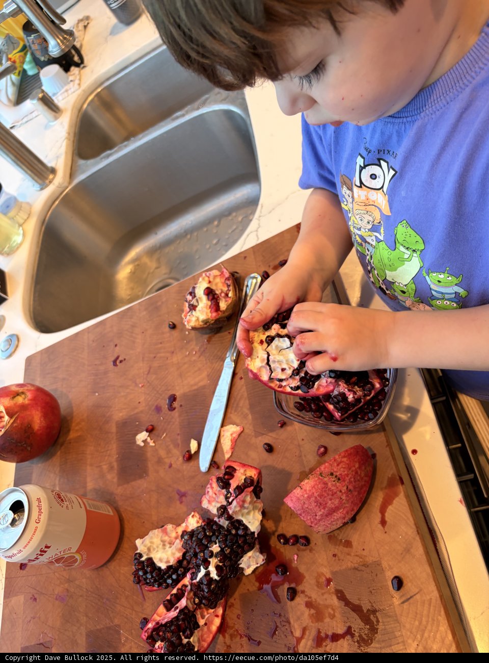 Culinary Adventure: Little Hands and Pomegranates