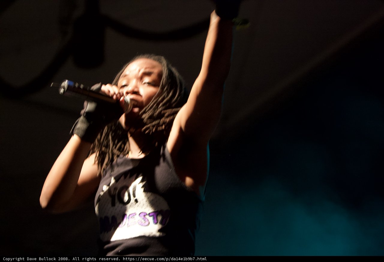 Rocking the Crowd: A Dreadlocked Singer's Performance at Coachella 2008