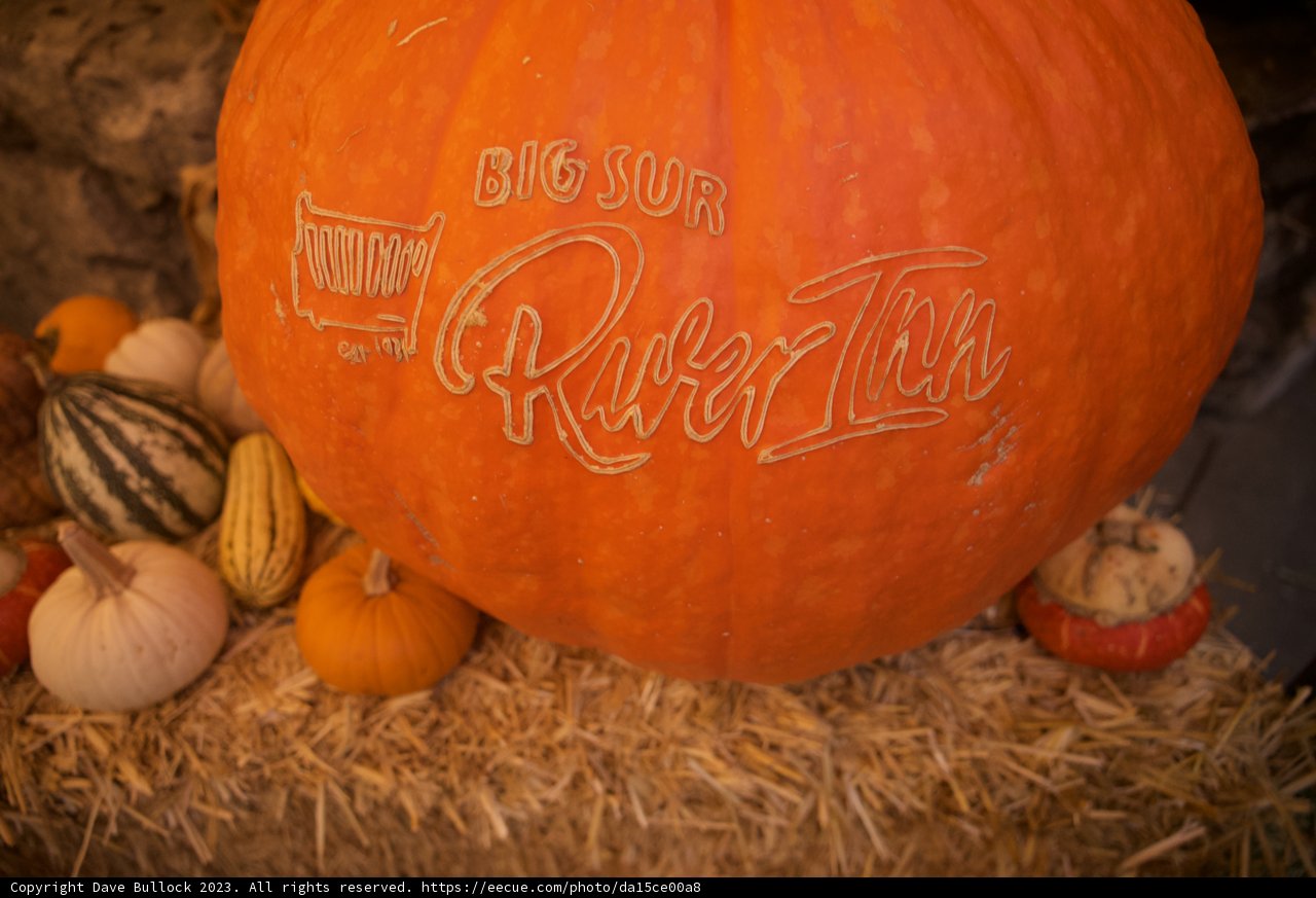 Pumpkins with a Twist: Big Sur Adventure 2023