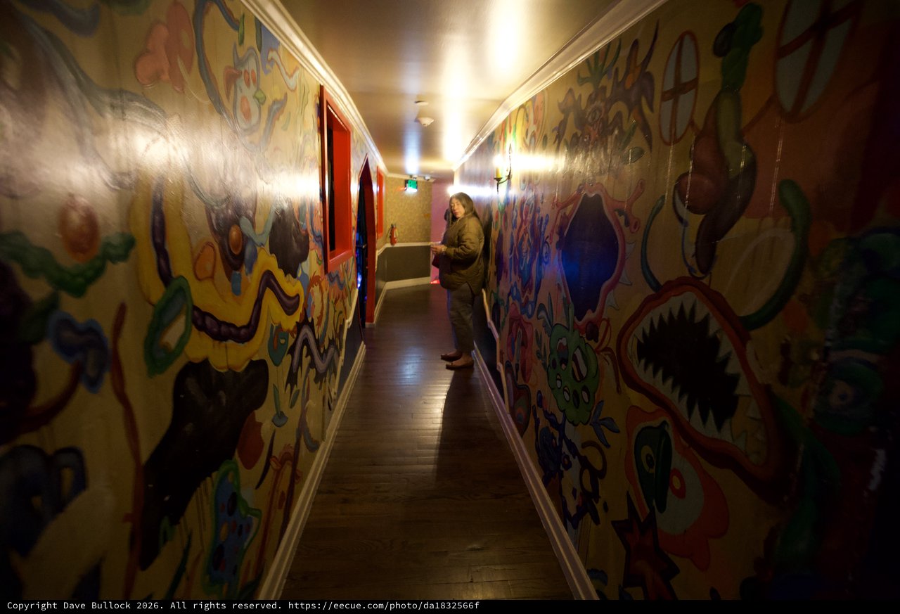 Vibrant Graffiti-Style Murals in Colorful Hallway