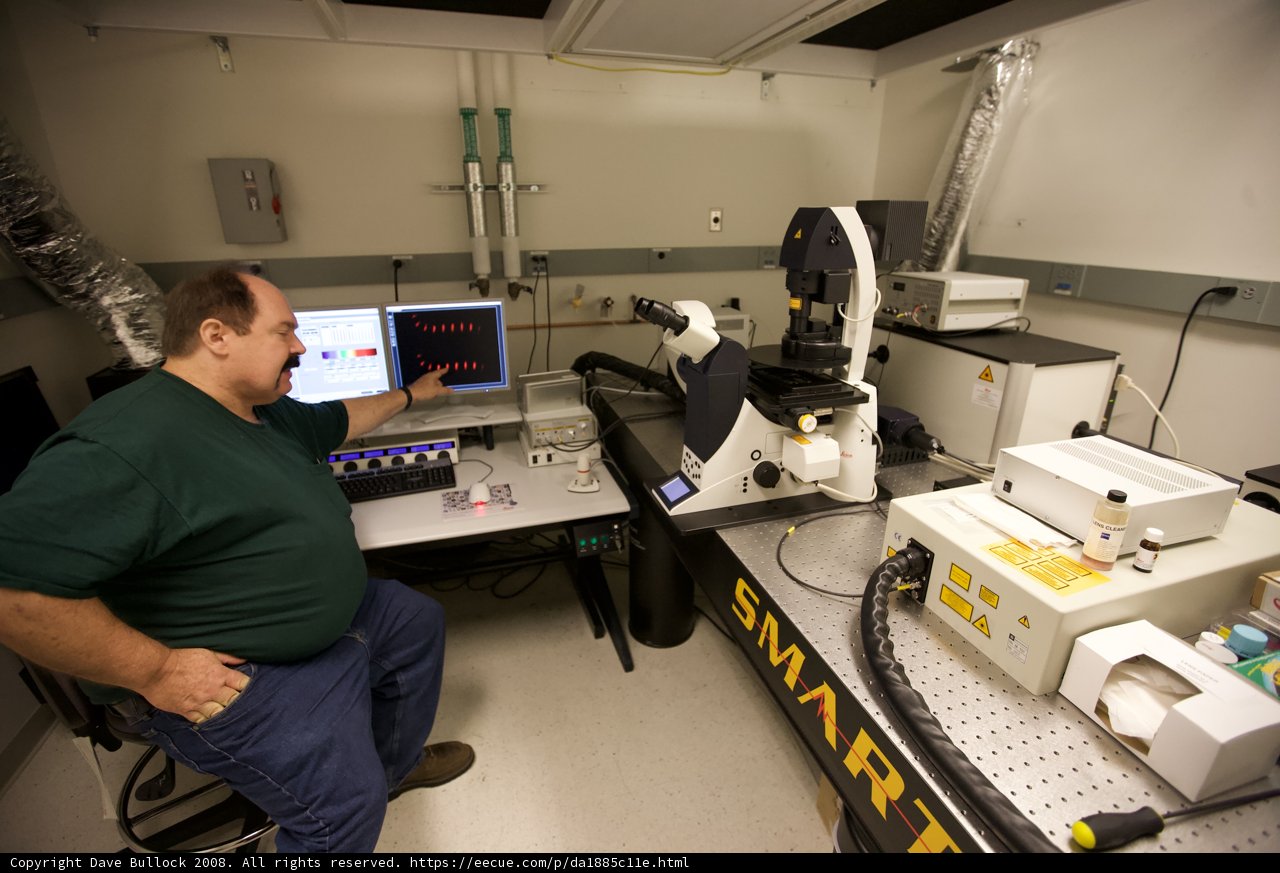 Working in the Lab