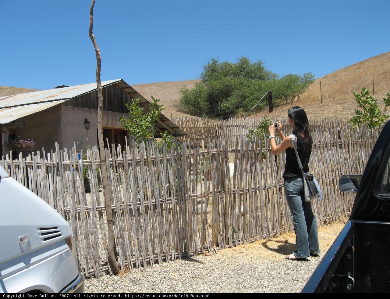 Capturing Rural Beauty