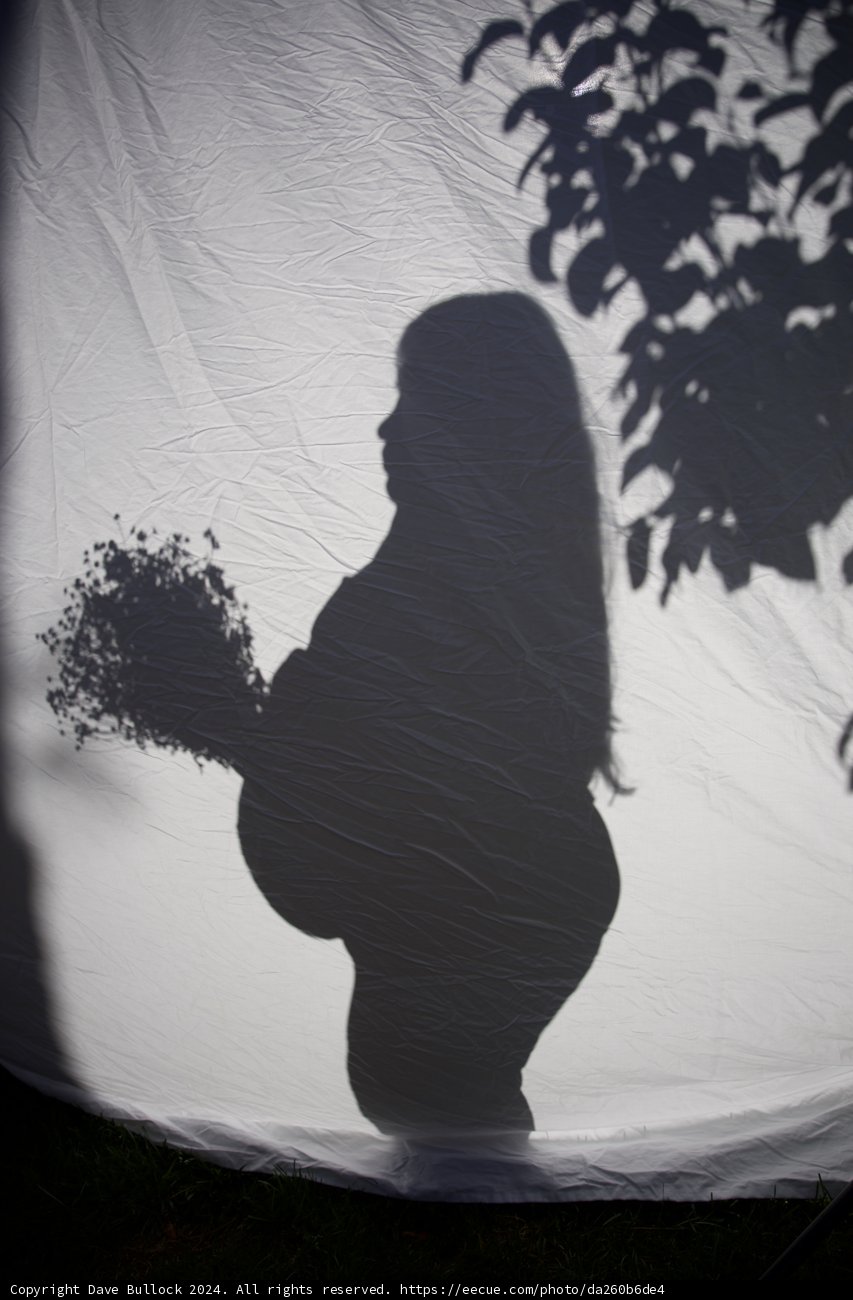 Shadows of Expectation