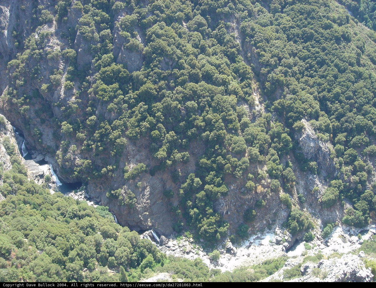 Majestic Mountains and Lush Vegetation