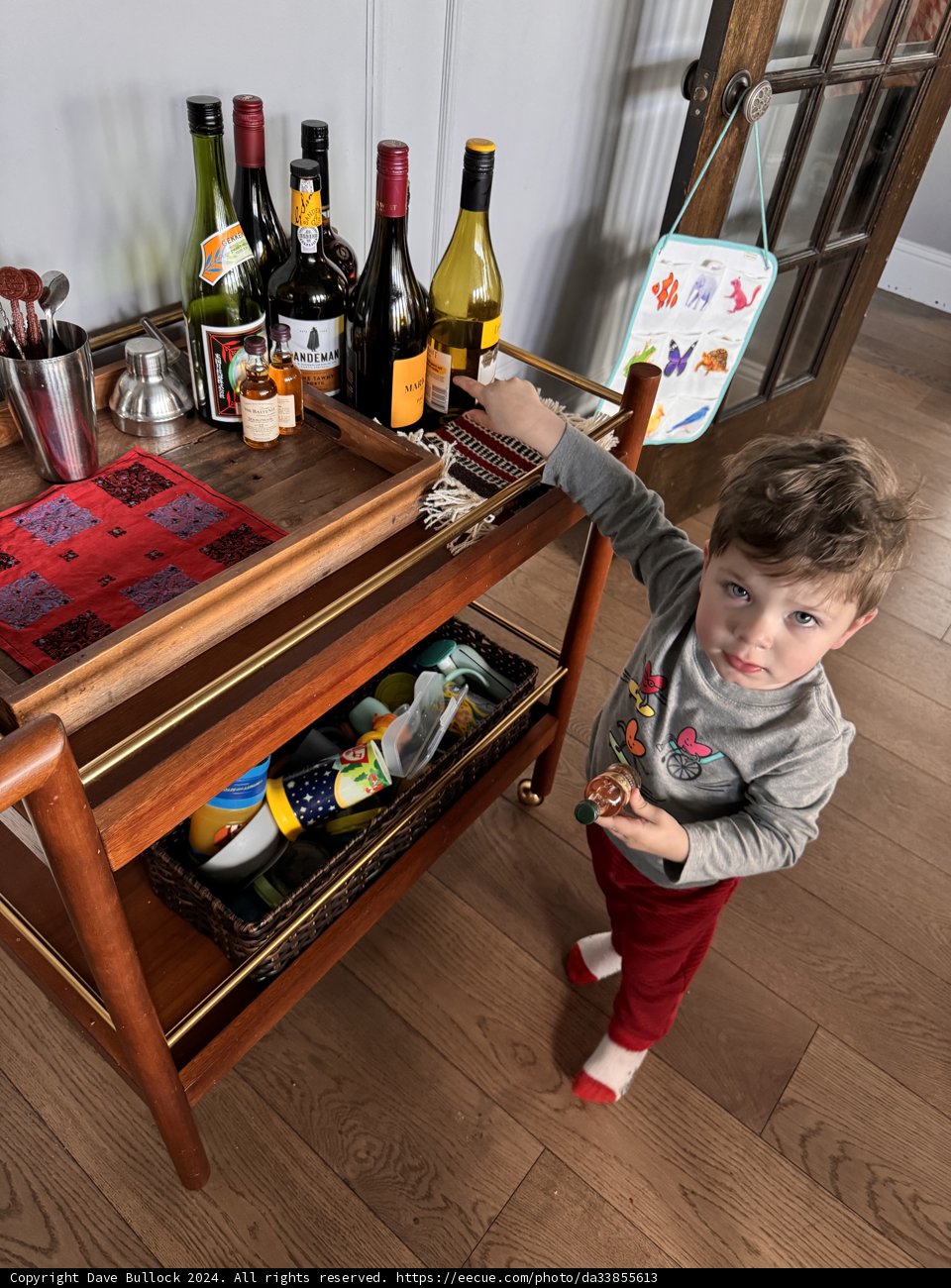 Little Explorer's Discovery