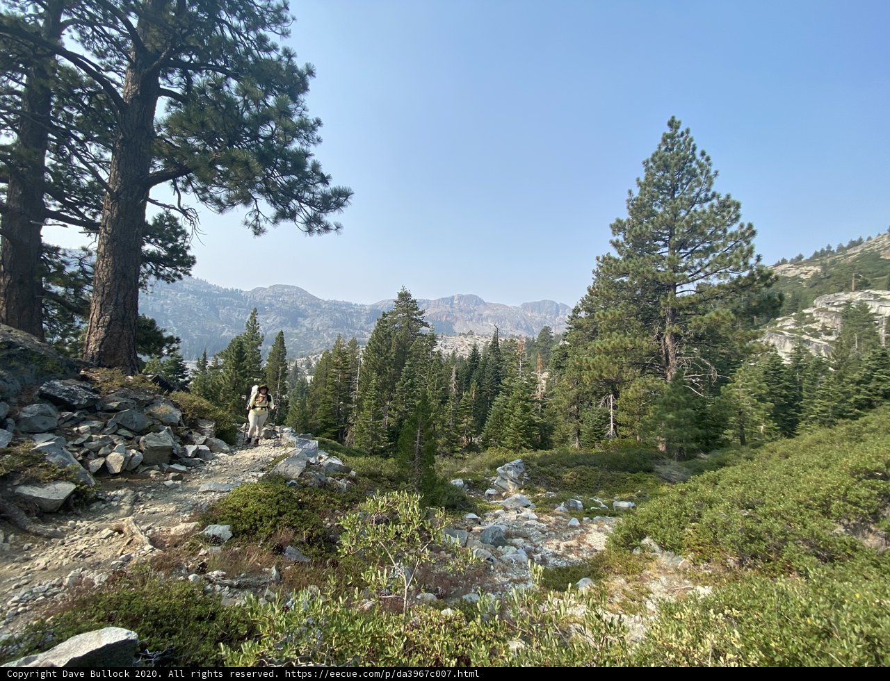 Hiking through the Evergreens