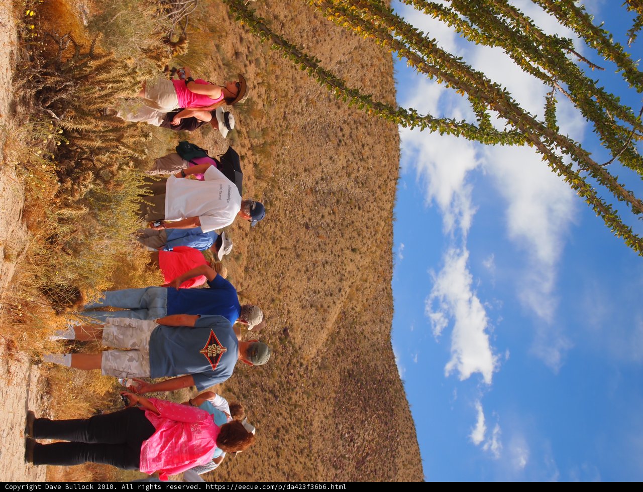 Walking Amongst the Cacti