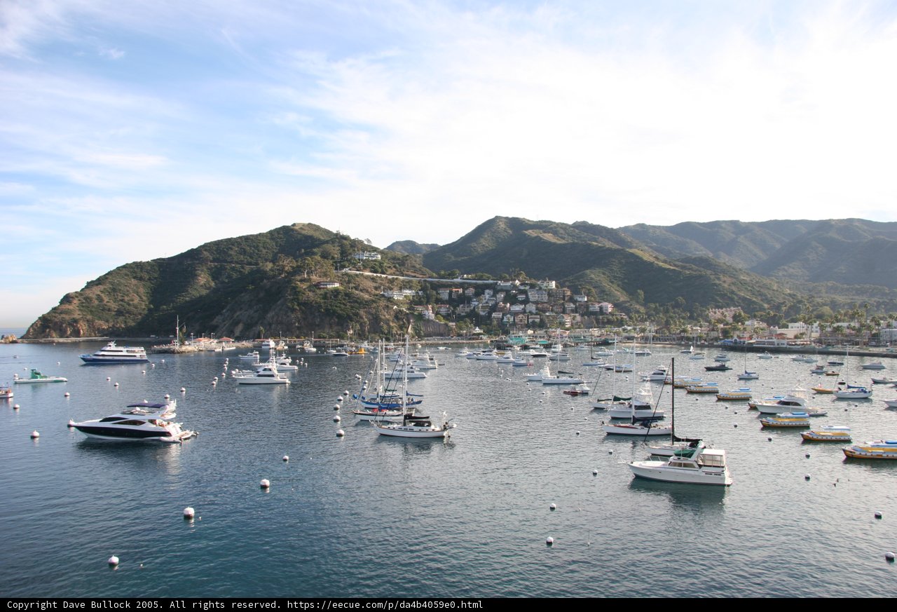 Boats at the Harbor