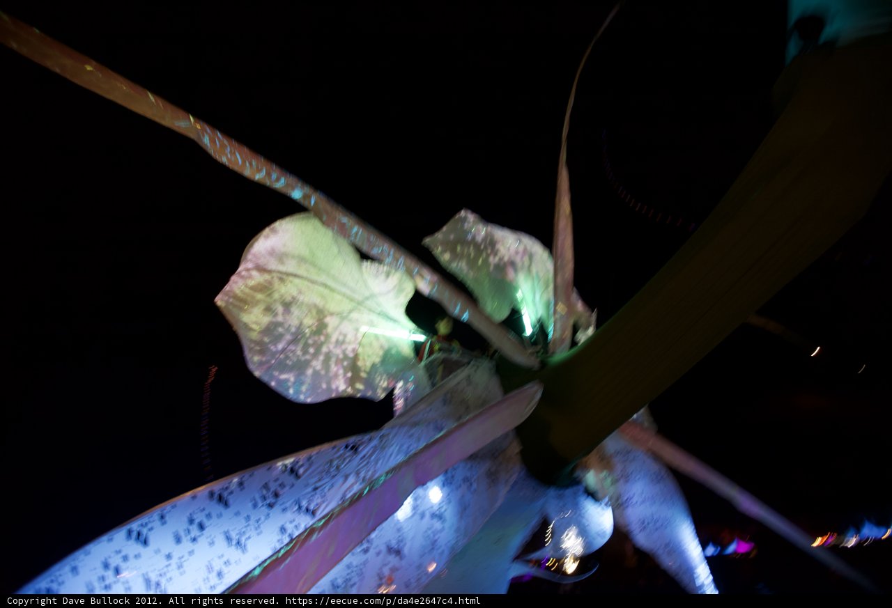 Illuminated Iris