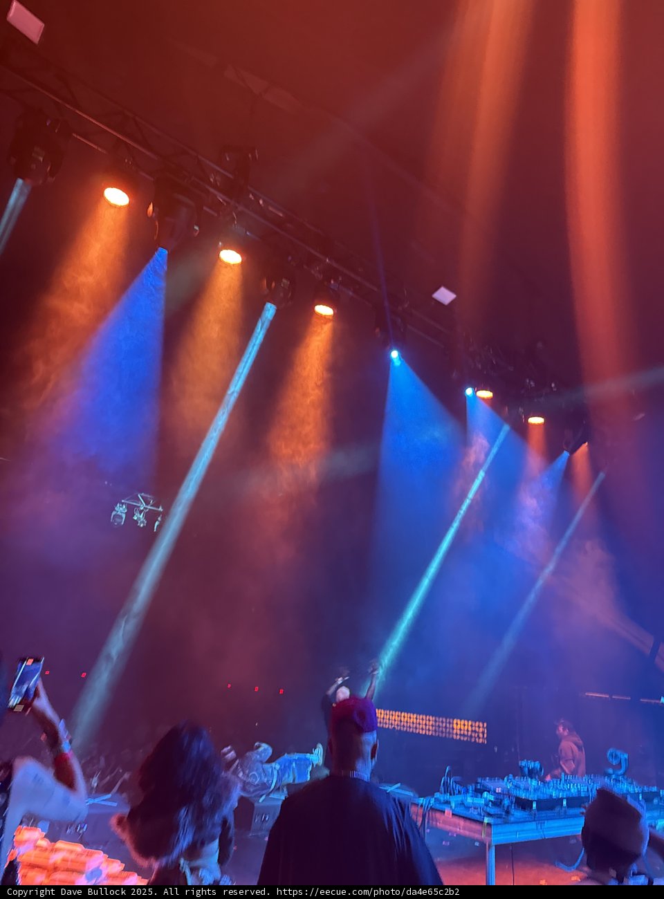 Electric Nights at Indio