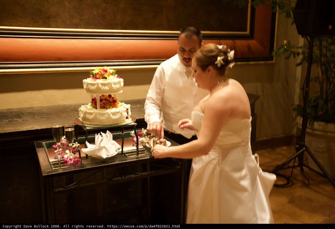 Wedding Cake Cutting