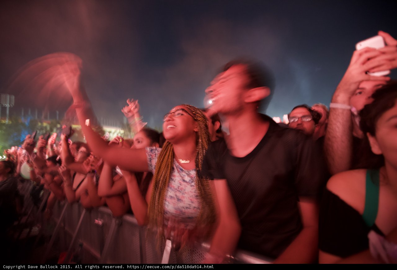 FYF Fest Motion Blur Barrier Woman Box Braids Smiling Floral Shirt Gold Necklace Man Black Ecstatic