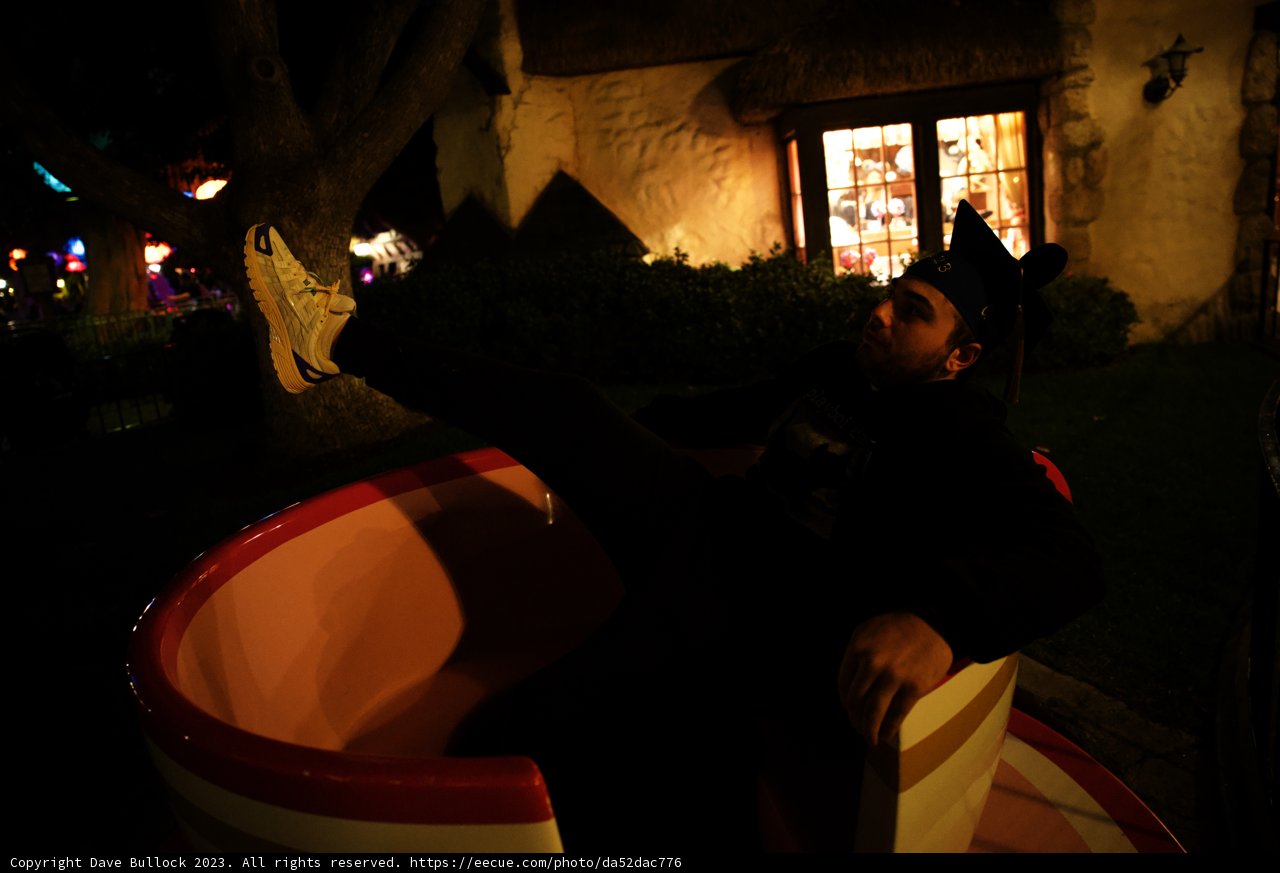 A Playful Moment at Disneyland