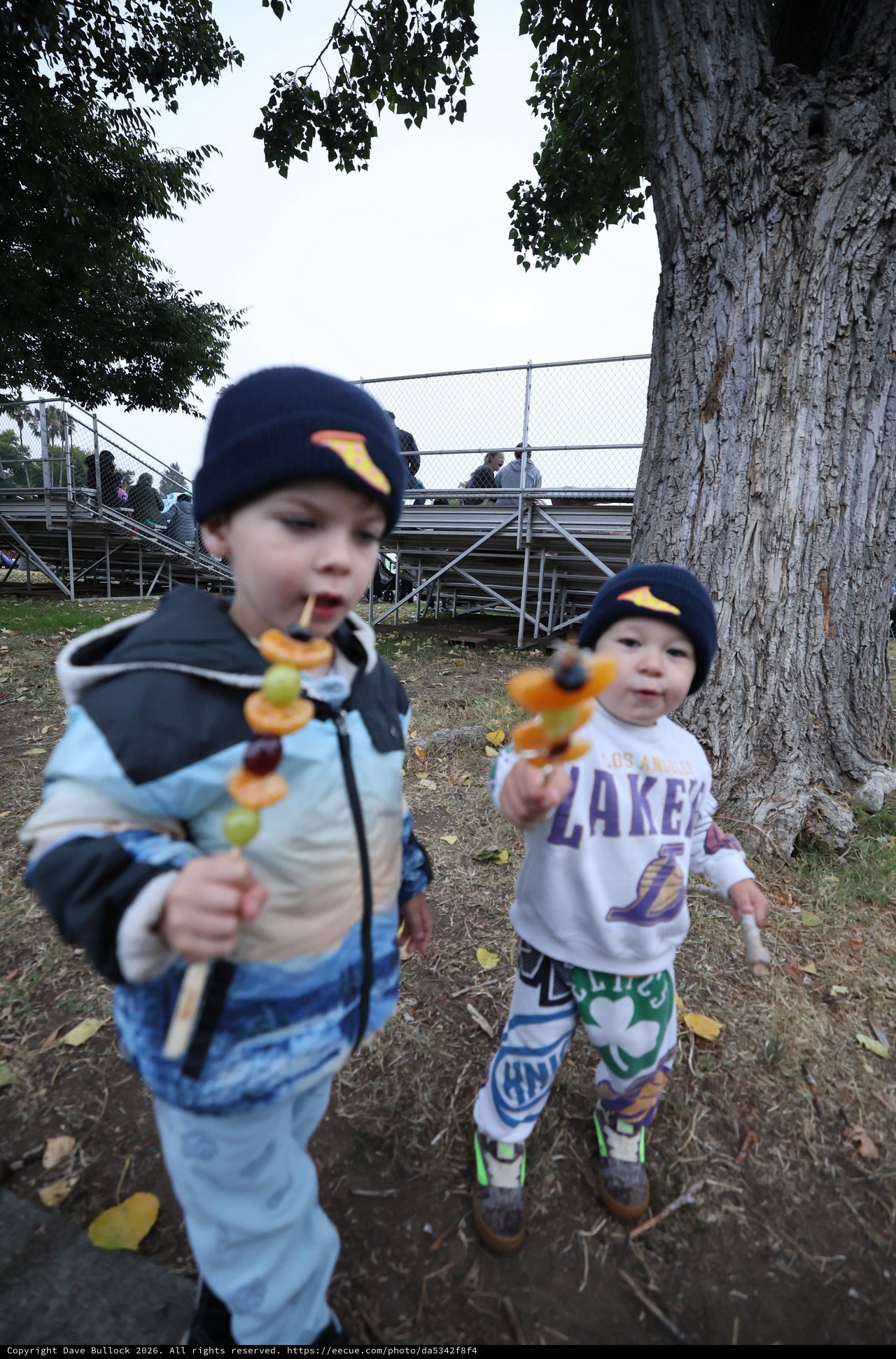 Two Young Brothers Enjoy Fruit Skewers at Balloon Festival