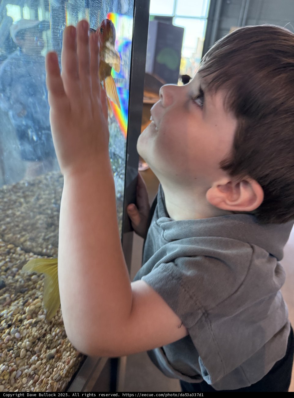 Mesmerized by the Deep